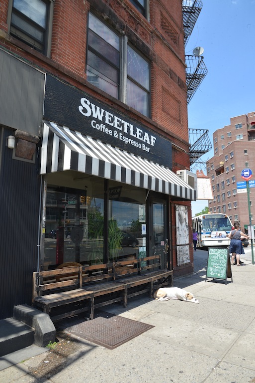 Sweetleaf coffee NYC