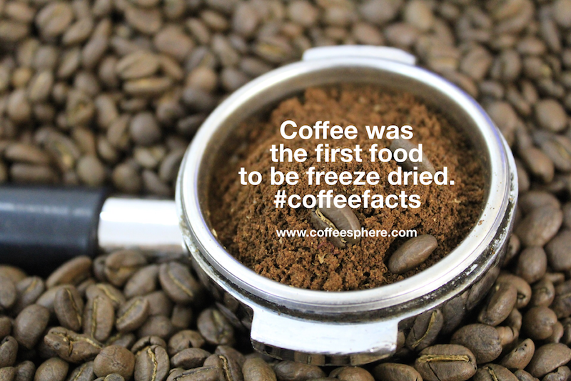 Coffee was the first food to be freeze dried. What else is freeze dried??