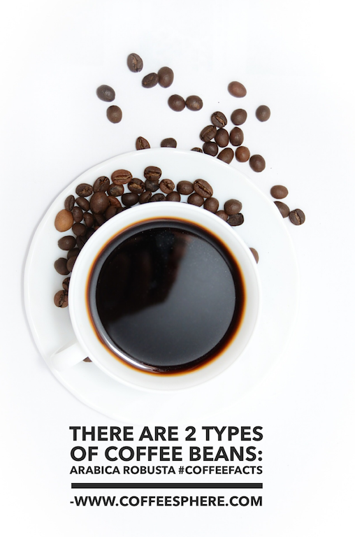 There are 2 types of coffee beans - Arabica and Robusta. Robusta is more caffeine and more bitter than Arabica.