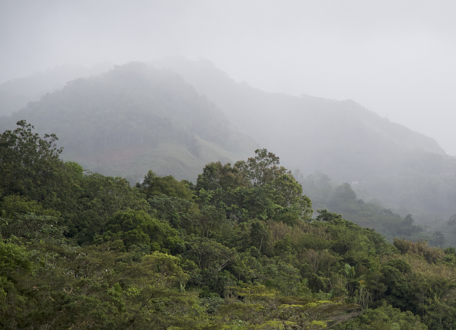 The view at Hacienda Pomarossa