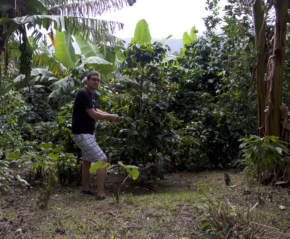 Sebastian, owner, barista and cook at Hacienda Pomarossa