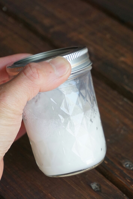 Reishi Mushroom Chocolate Latte Recipe