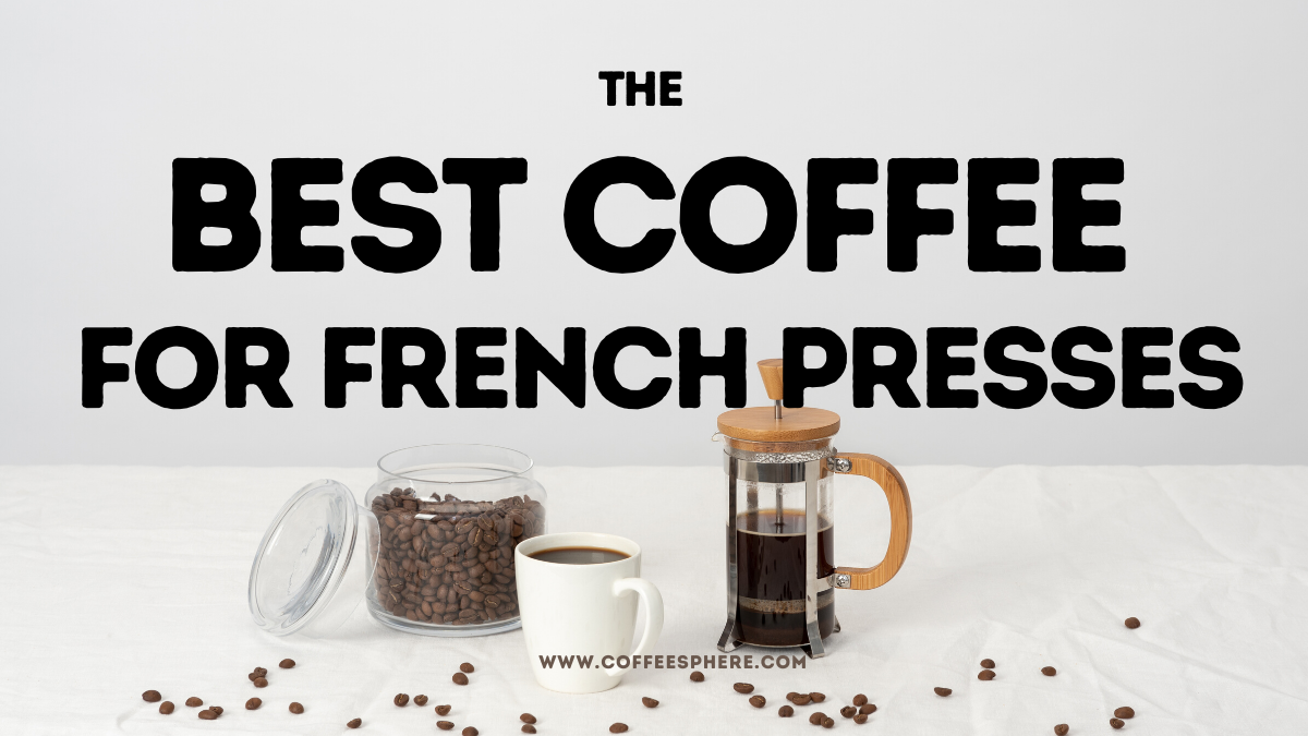 best coffee for french press