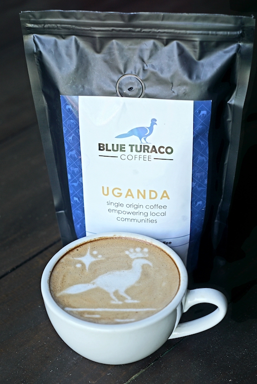 blue turaco ugandan coffee