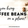 can you bring coffee beans on a plane