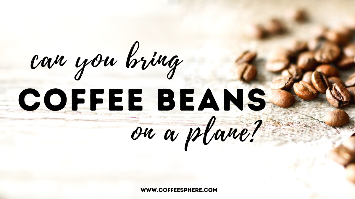 can you bring coffee beans on a plane