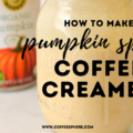 pumpkin spice coffee creaamer