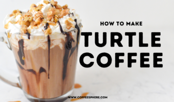 turtle coffee