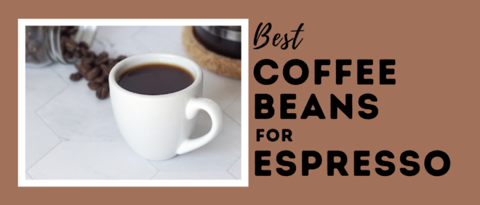 Best Coffee Beans for Espresso