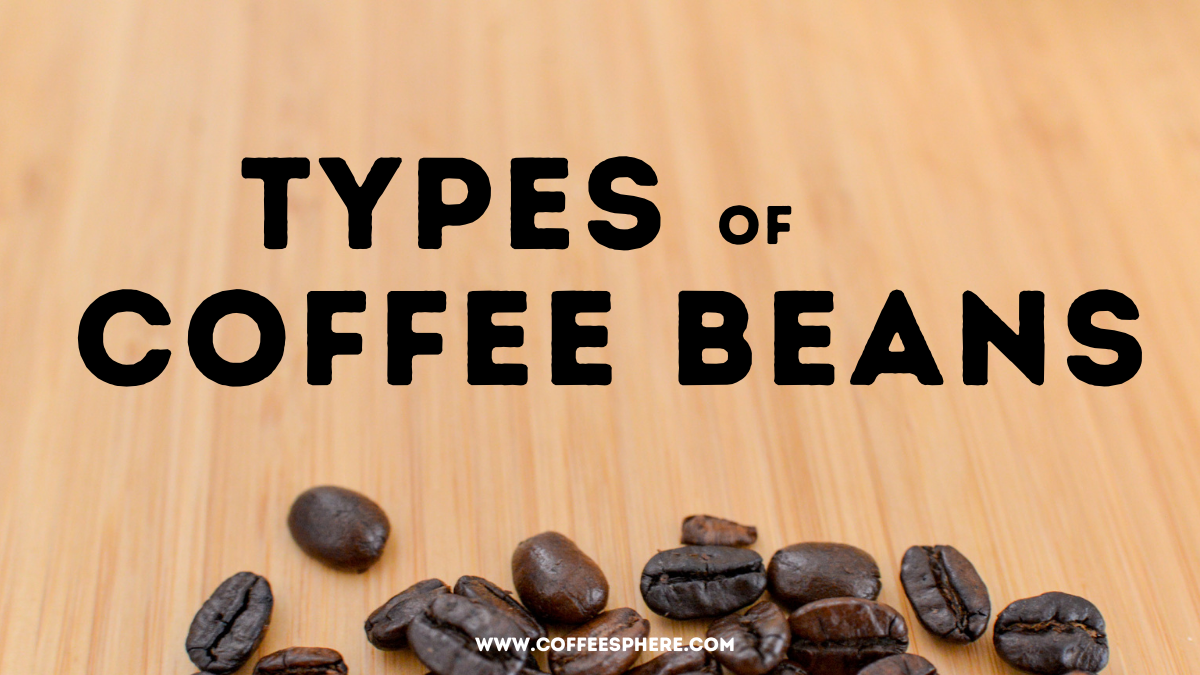 types of coffee beans