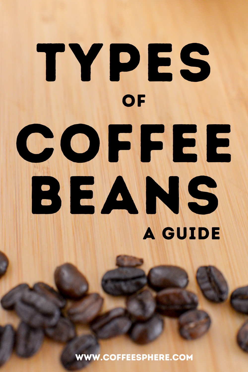 Coffee Bean Types and Their Characteristics