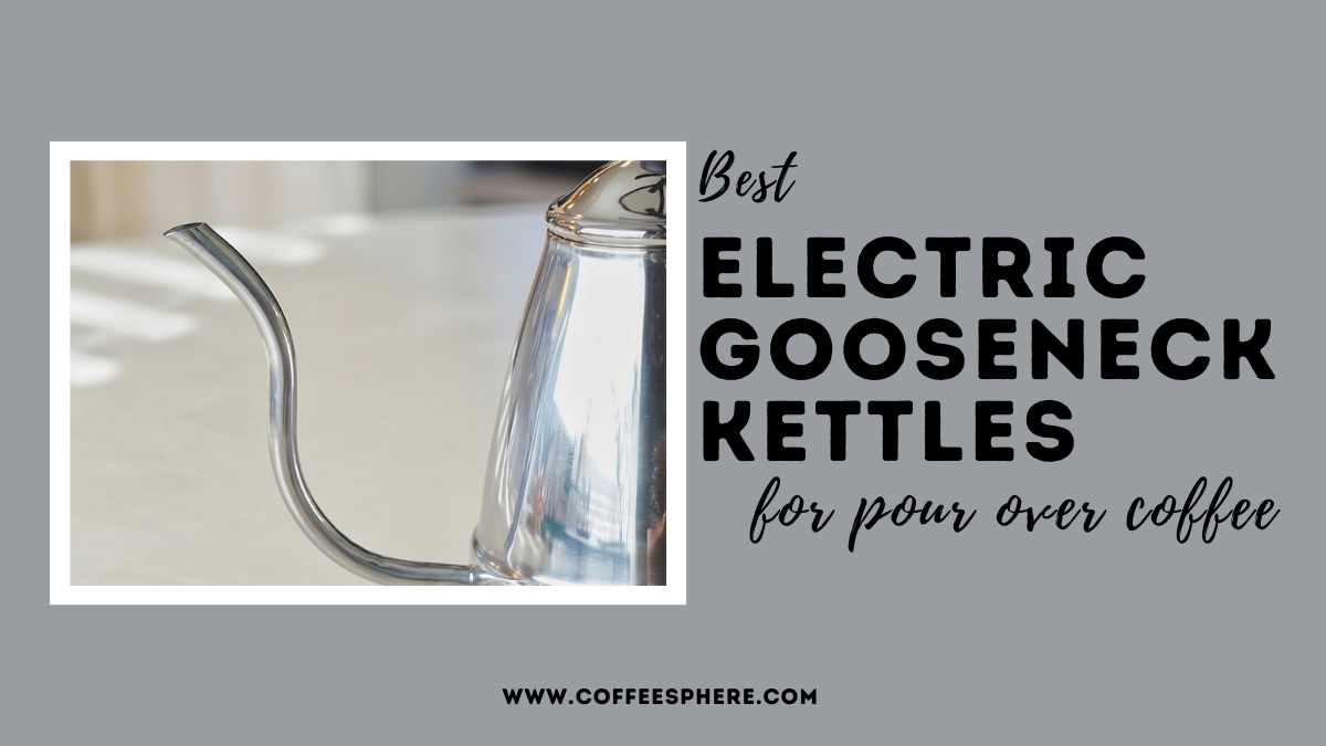 Brewista Artisan Electric Gooseneck Kettle 1 Liter White Iridescent