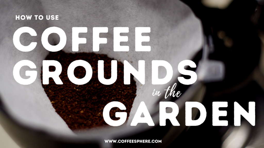 How to Use Coffee Grounds in the Garden